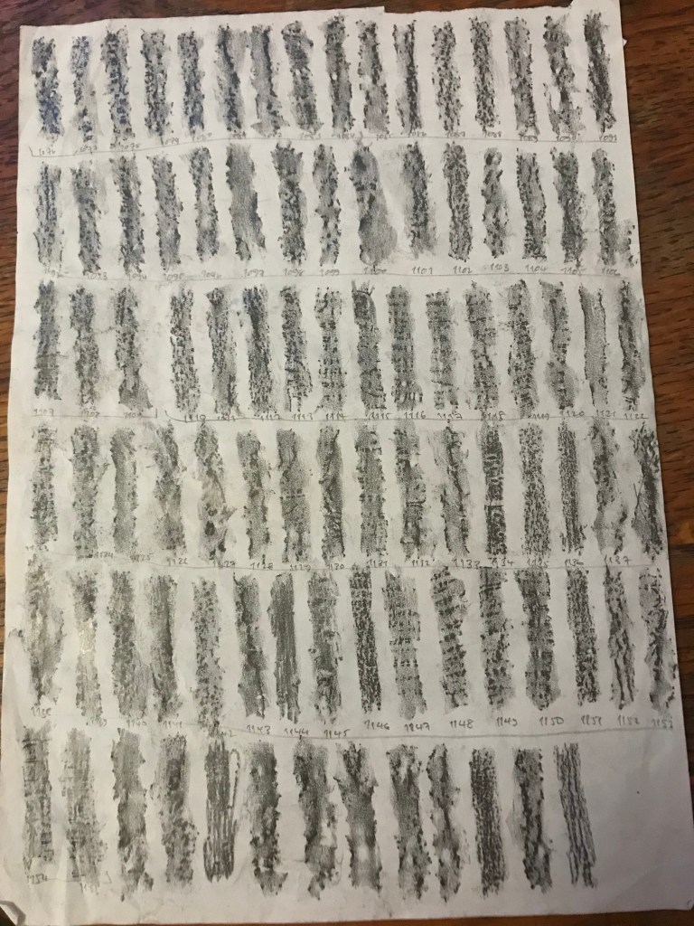 A page of many vertical graphite marks on white paper