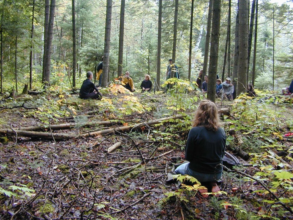 A group of people sitting in a forest in autumn