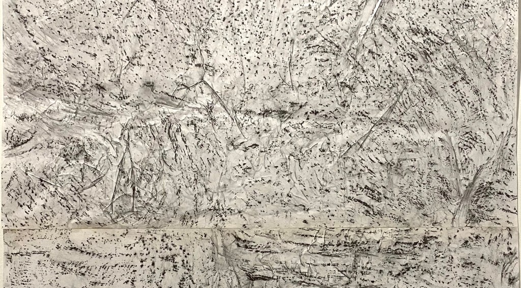 Close-up of a graphite bark rubbing on white paper, showing the intricate patterns in the bark of a large banyan tree